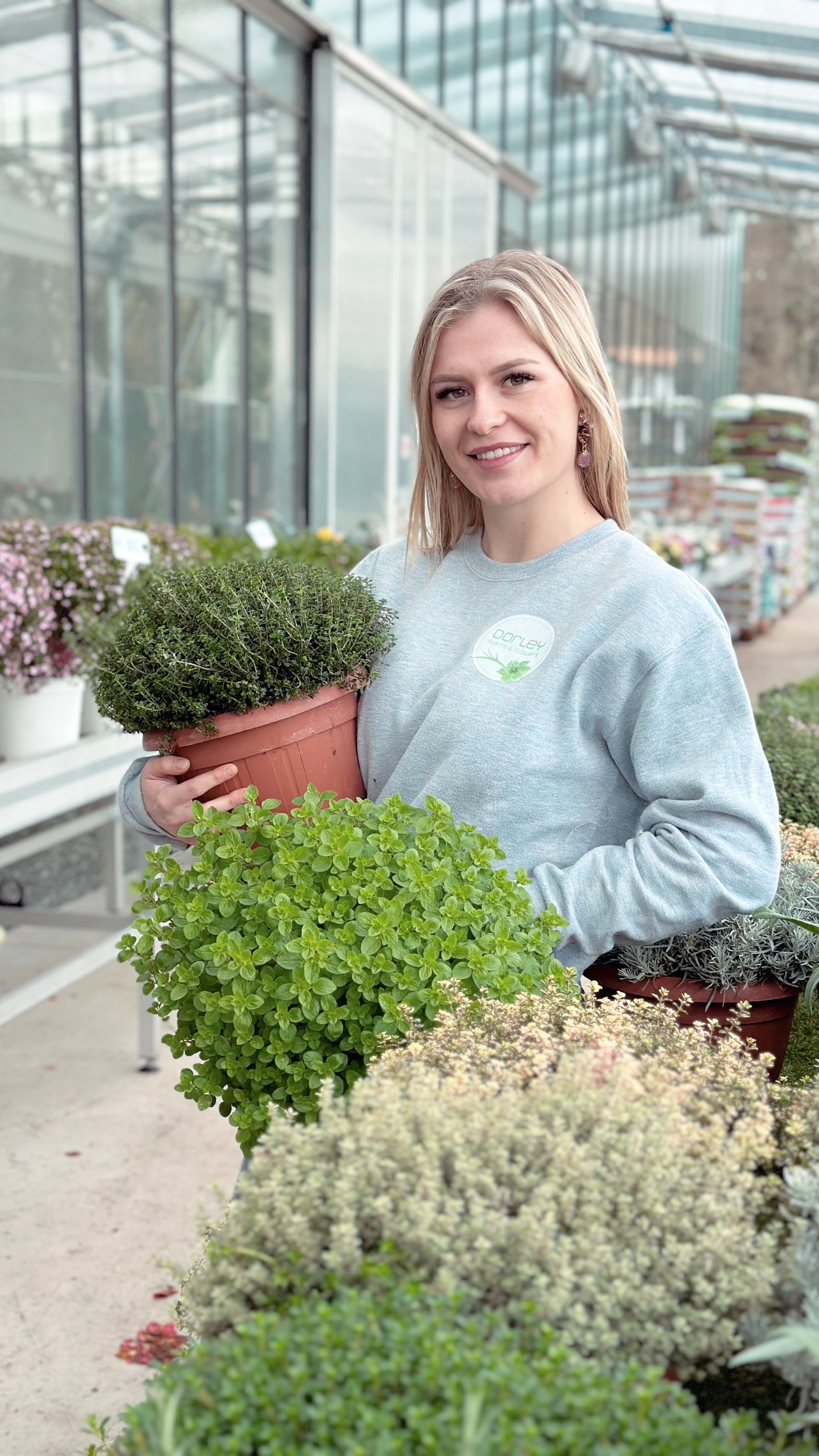 Kruiden planten XL formaat