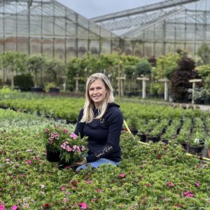 Dianthus Barbatus laagblijvend - Duizendschoon pot dia 15
